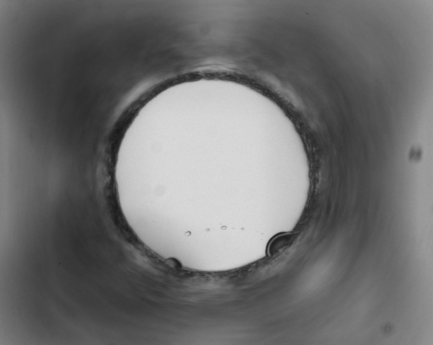 X0000102371400200808291238