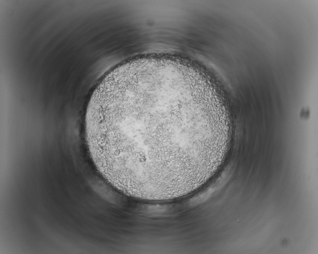 X0000102371401200808291238