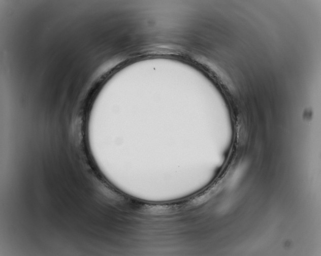 X0000102371402200808291238