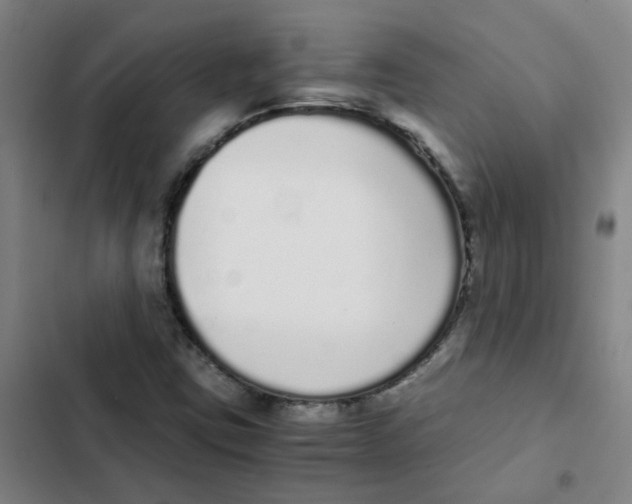 X0000102371403200808291238