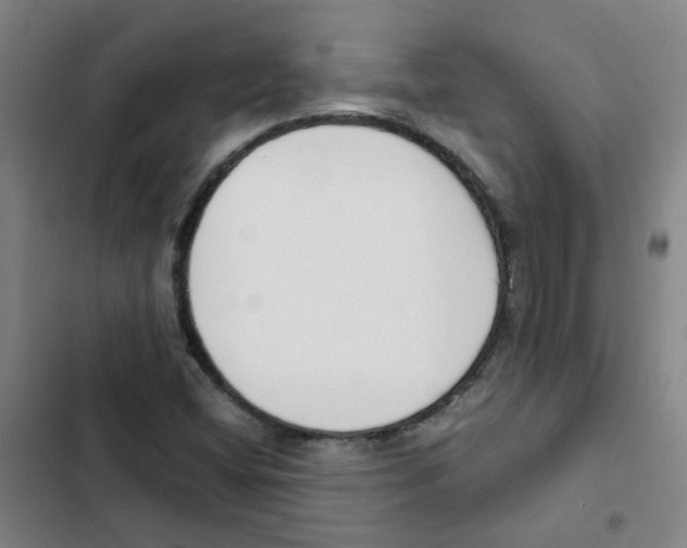 X0000102371404200808291238