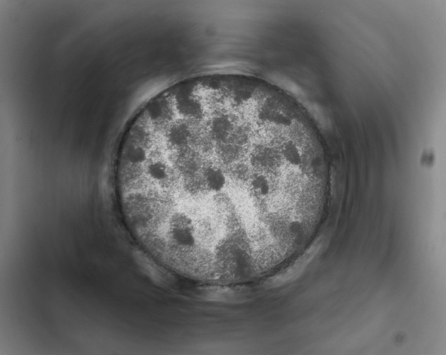 X0000102371405200808291238