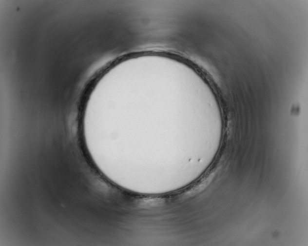 X0000102371406200808291238