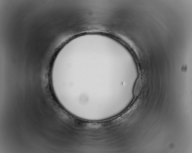 X0000102371407200808291238