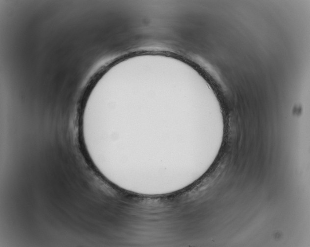 X0000102371408200808291238