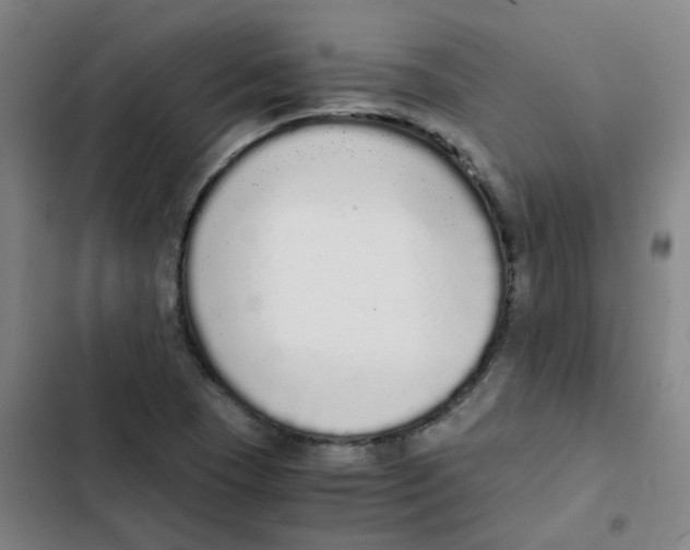 X0000102371409200808291238