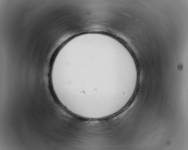 X0000102371410200808291238