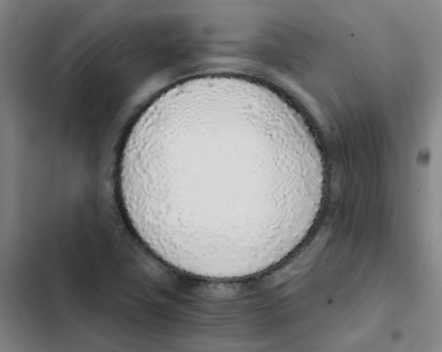 X0000102371411200808291238