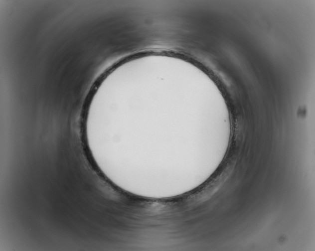 X0000102371412200808291238