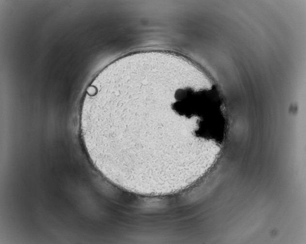 X0000102371413200808291238