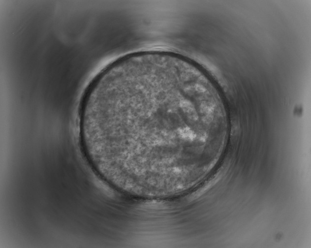 X0000102371414200808291238