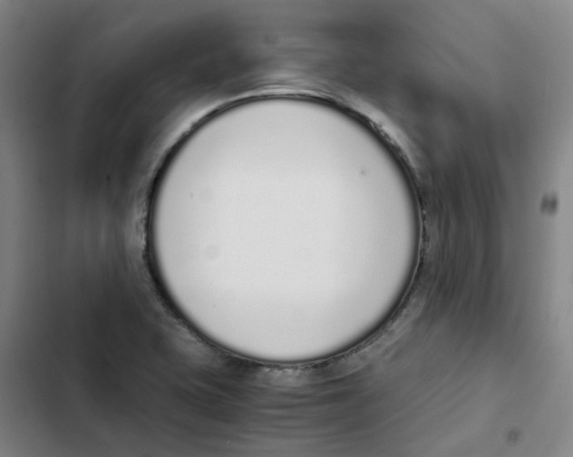 X0000102371415200808291238
