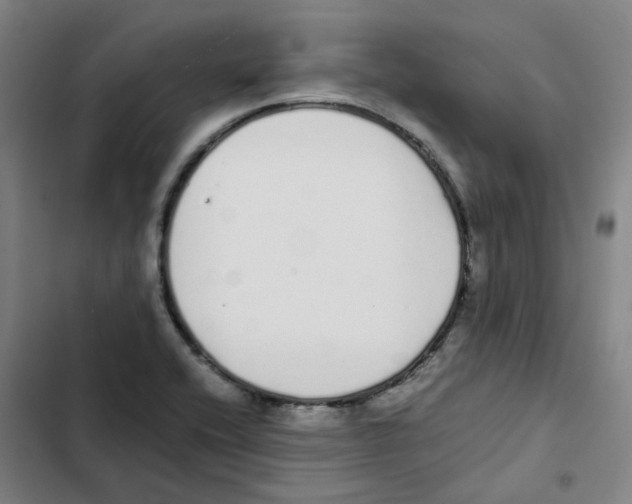 X0000102371416200808291238