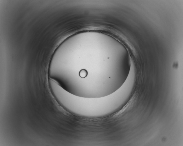 X0000102371417200808291238