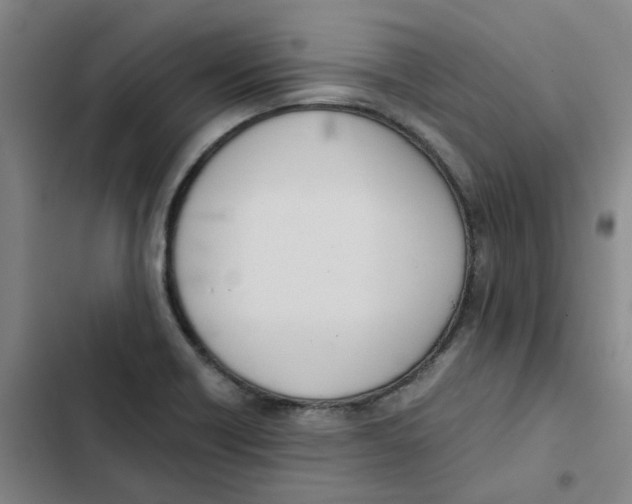 X0000102371418200808291238