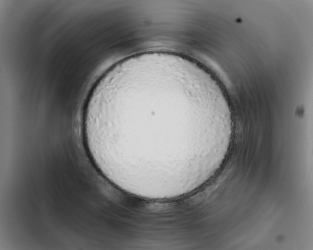 X0000102371419200808291238