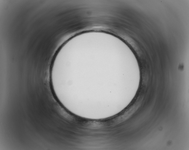 X0000102371420200808291238