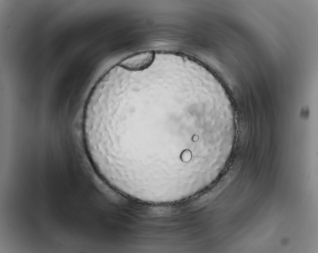 X0000102371421200808291238