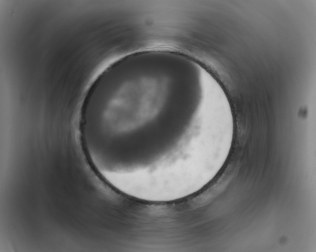 X0000102371422200808291238