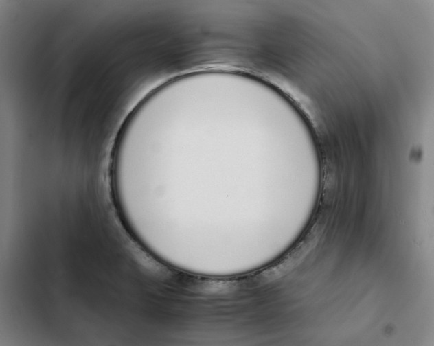 X0000102371423200808291238