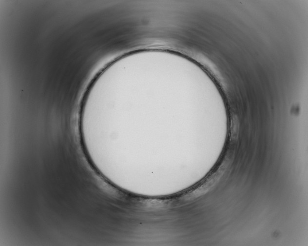 X0000102371424200808291238