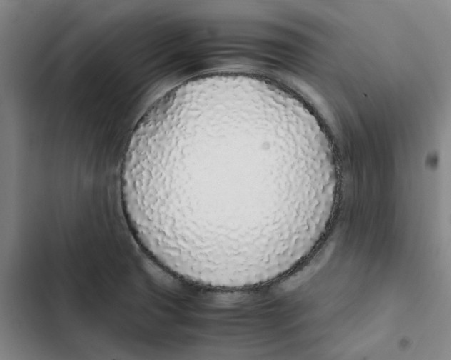 X0000102371425200808291238