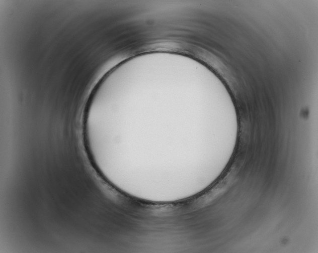 X0000102371426200808291238