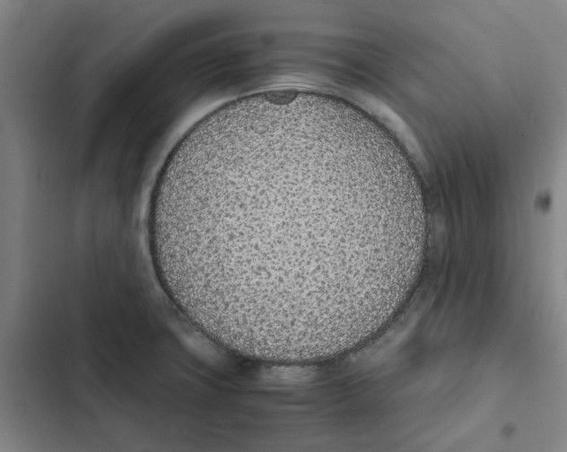 X0000102371427200808291238