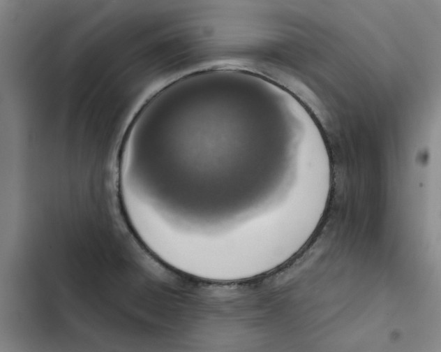 X0000102371428200808291238