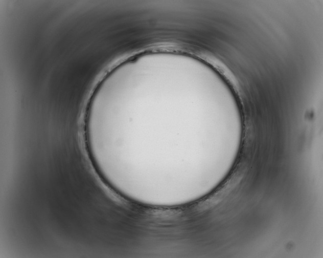 X0000102371429200808291238