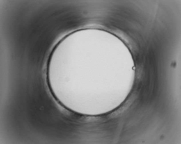 X0000102371430200808291238