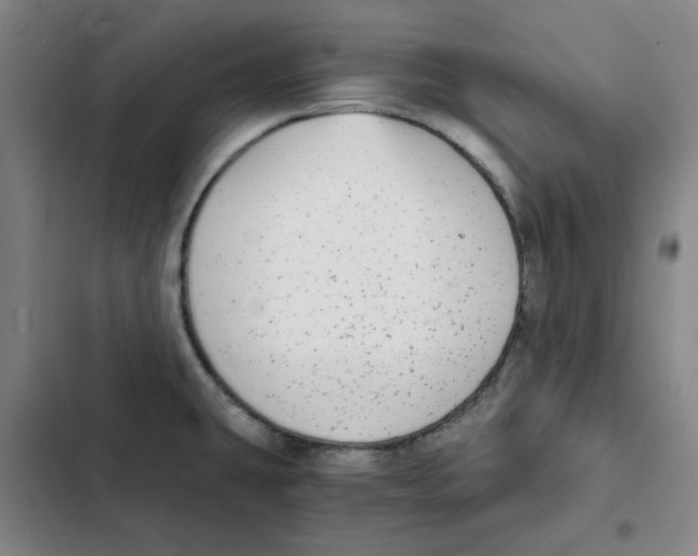 X0000102371431200808291238
