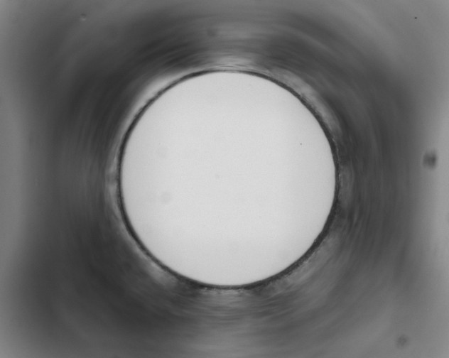 X0000102371432200808291238