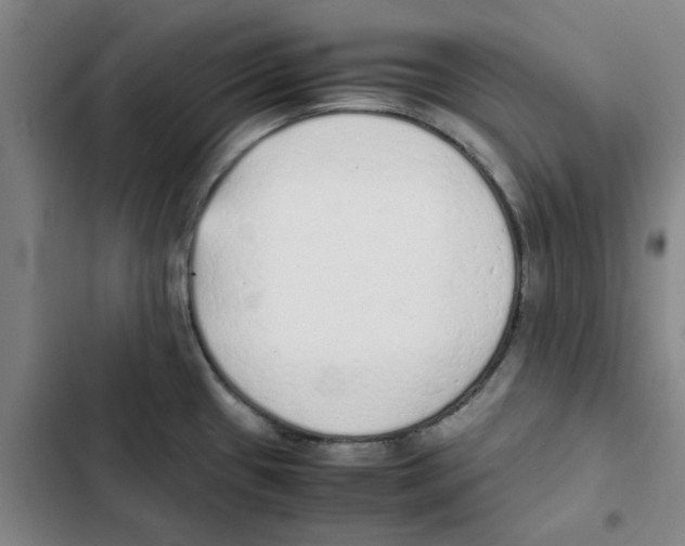 X0000102371433200808291238