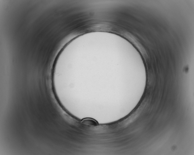 X0000102371434200808291238