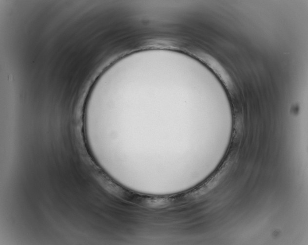 X0000102371435200808291238