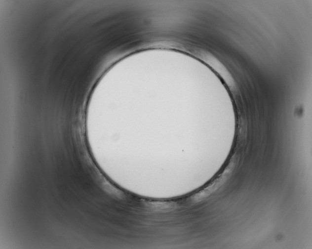 X0000102371436200808291238