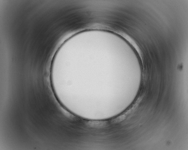 X0000102371437200808291238