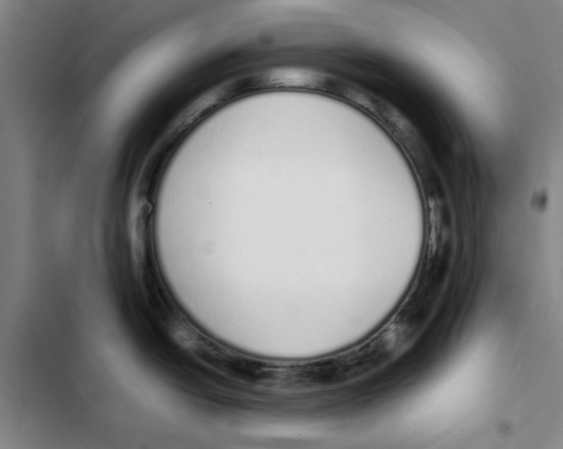 X0000102371438200808291238
