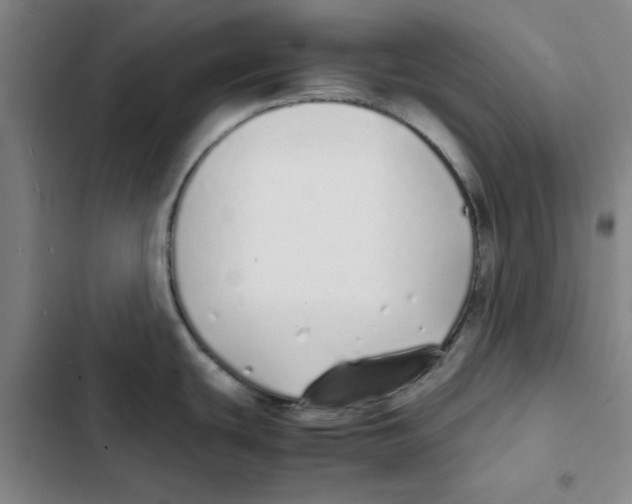 X0000102371439200808291238
