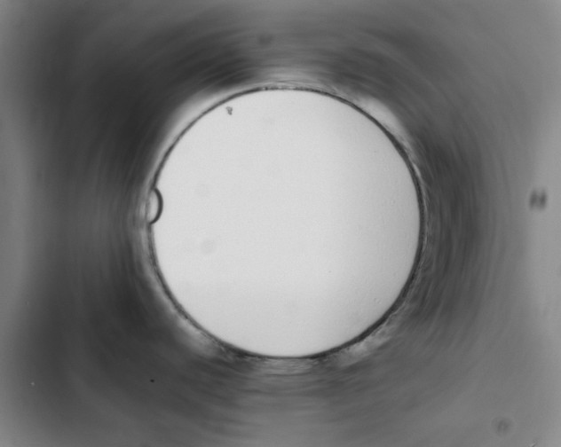 X0000102371440200808291238