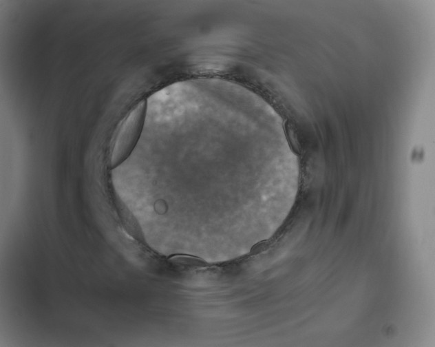 X0000102371441200808291238