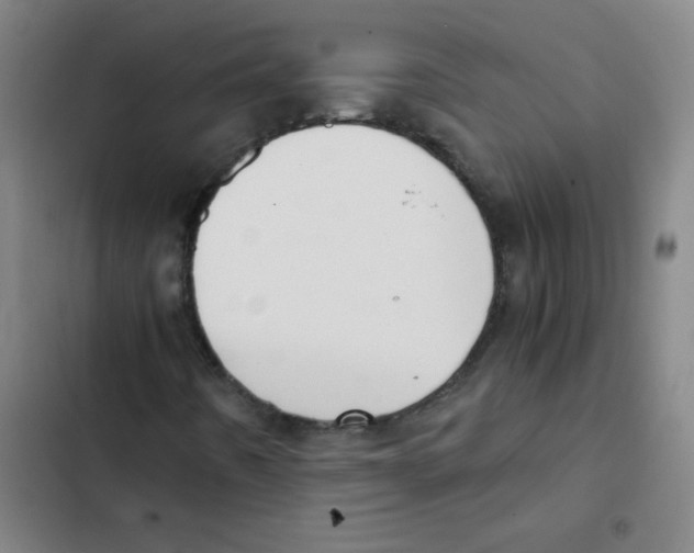 X0000102371442200808291238