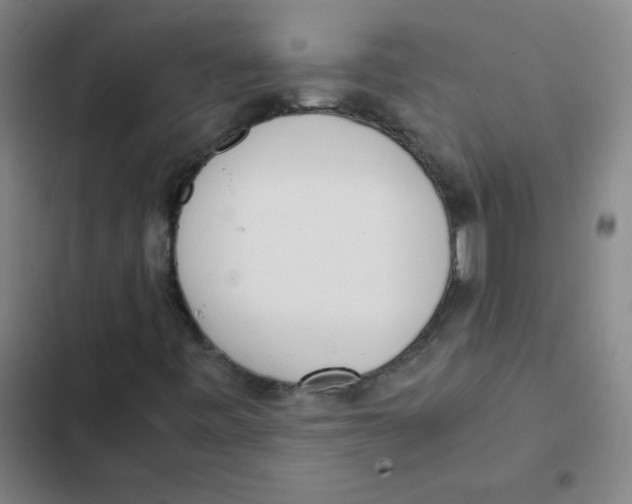 X0000102371443200808291237