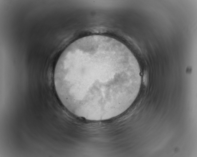 X0000102371444200808291237