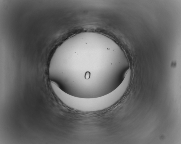 X0000102371445200808291237