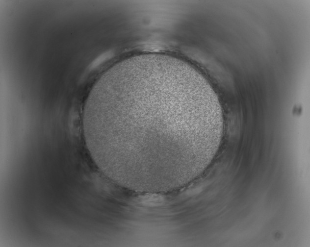 X0000102371446200808291237