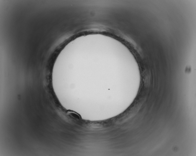 X0000102371448200808291237