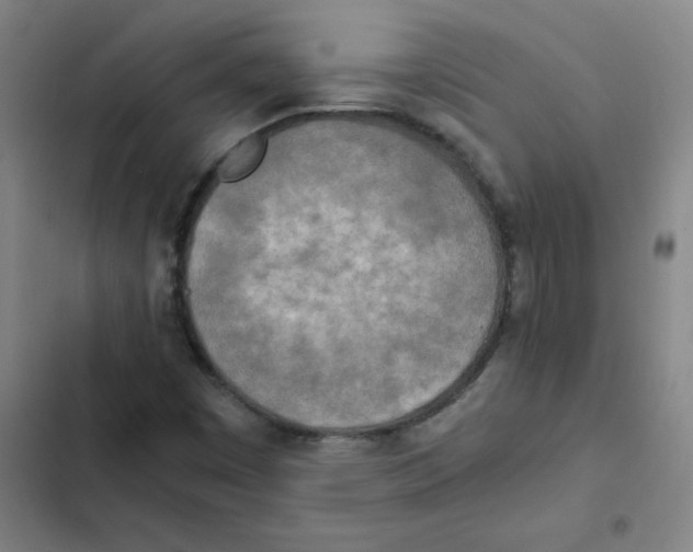 X0000102371449200808291237