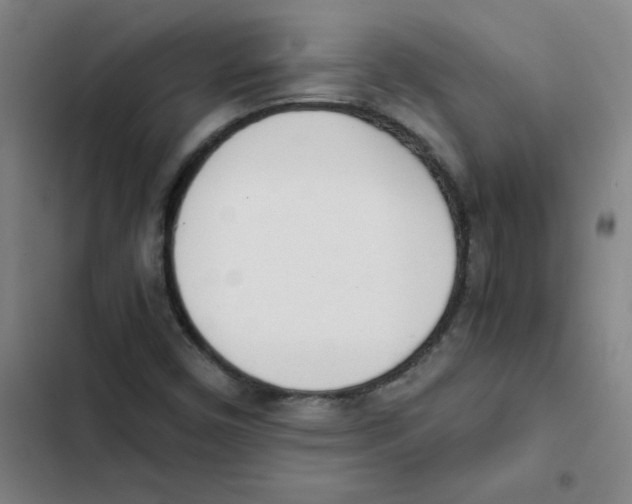 X0000102371450200808291237